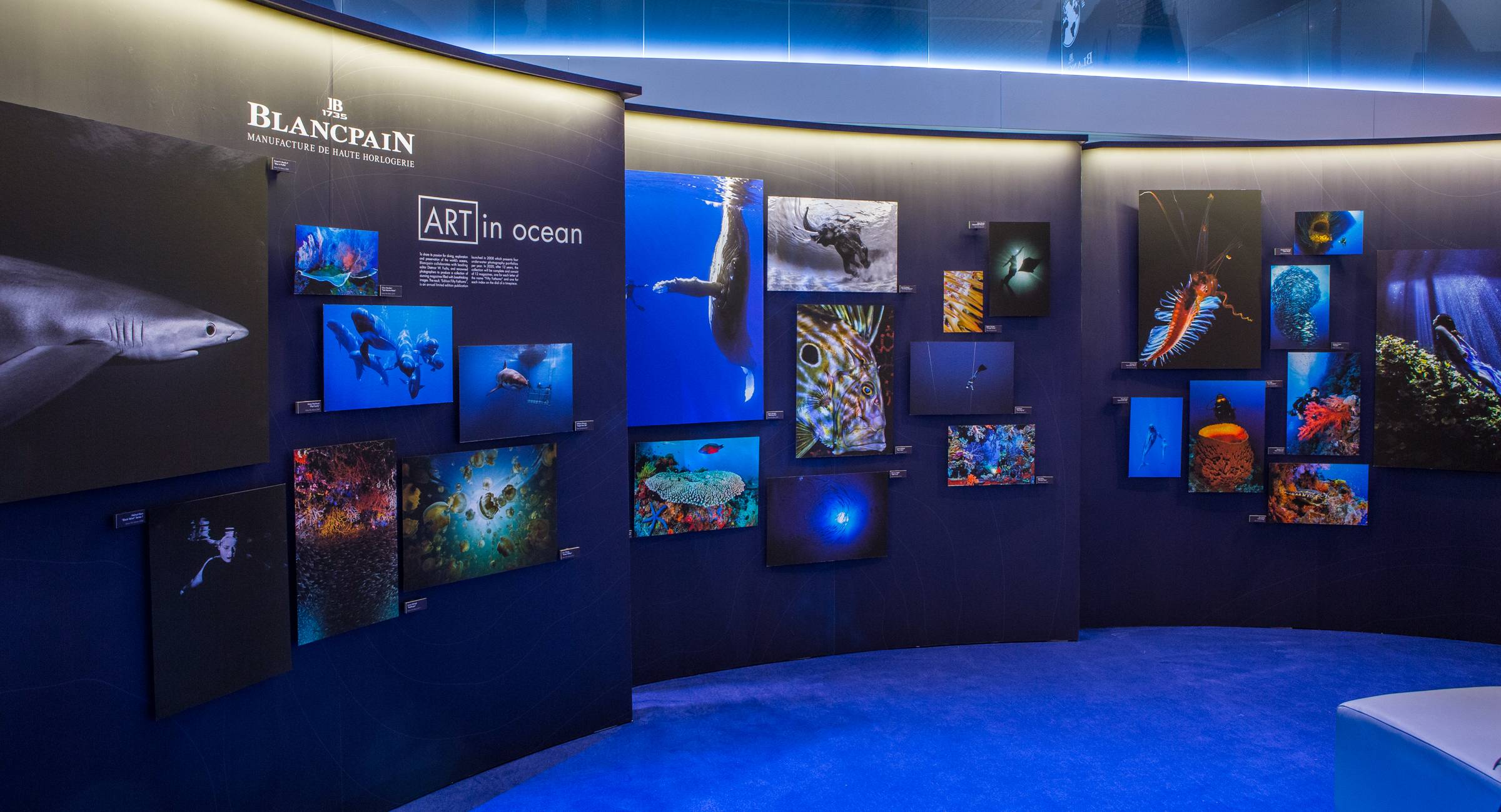 The Blancpain Ocean Commitment Exhibition Heads to Las Vegas