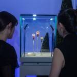 Van Cleef & Arpels Hosts The Poetry of Time™ Exhibition In Dubai 1