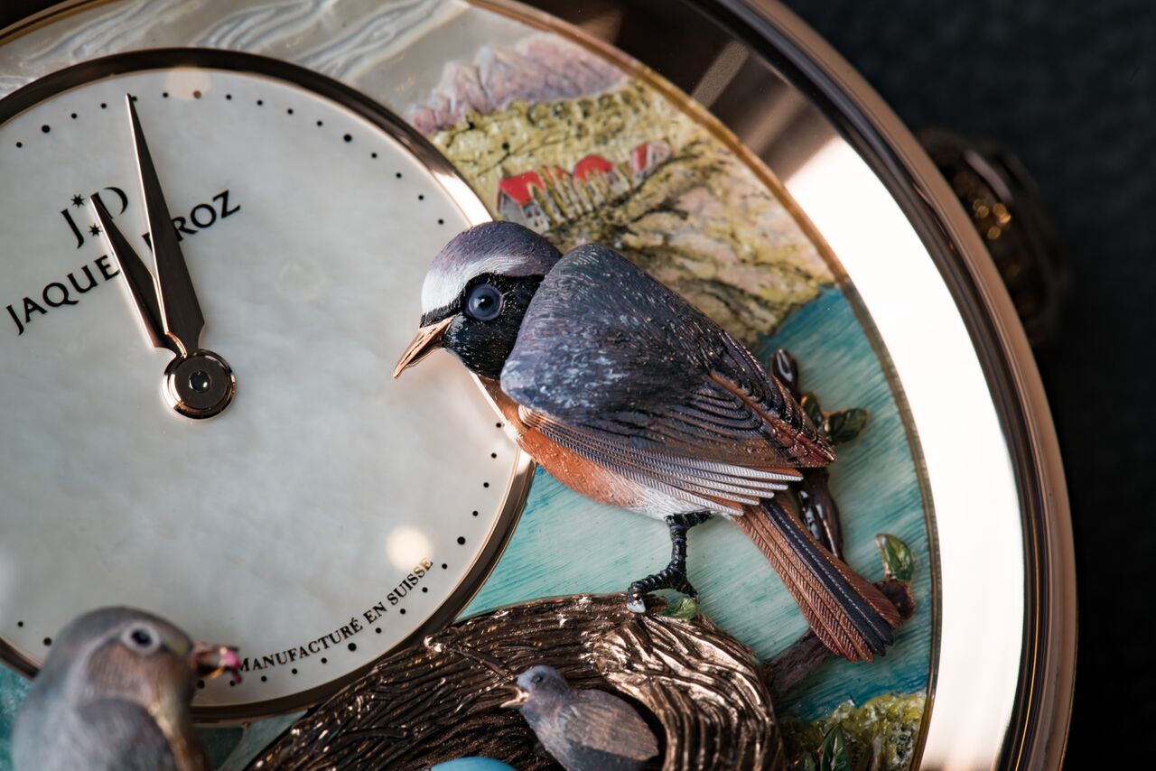 Six Sensational Bird Watches (slideshow)