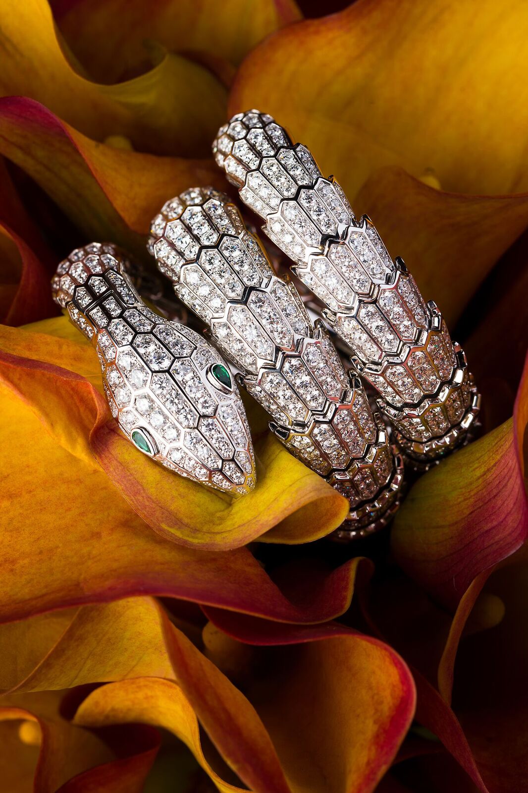 Paris Hosts First Fine Jewelry and Timepiece Awards