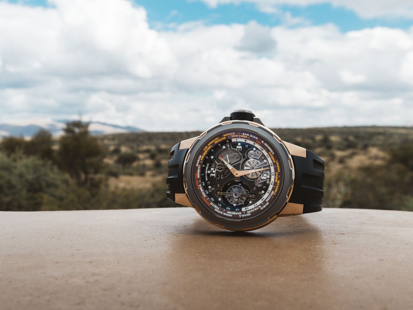 On Safari In Namibia With The Richard Mille RM 58-01 Tourbillon World Timer Jean Todt